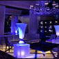Lure at the Wynn
