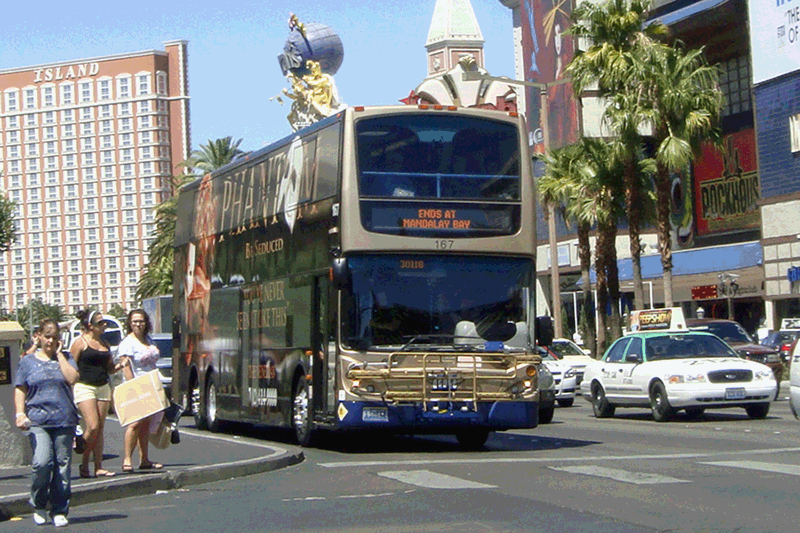 Las Vegas Buses